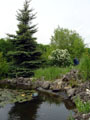 Blick auf den Gartenteich in Richtung Westen